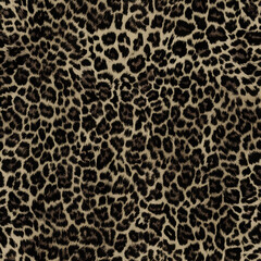 leopard,real animal print,hairy texture,jaguar spots,stylish design for fabric