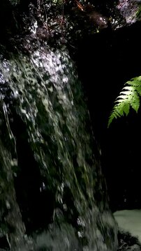 Hopetoun falls rainforest waterfall. travel destination