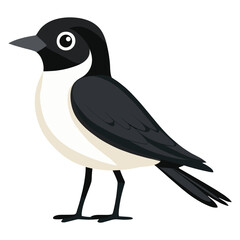 Fototapeta premium Bird illustration white art vector