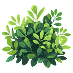 Monstera bush illustration plant green vector