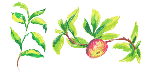 Clip art Pink apples drawn with wax crayons on white isolated background. Children's botanical collection of oil pastel illustrations. Designs for greeting cards, stickers, social media, posters.
