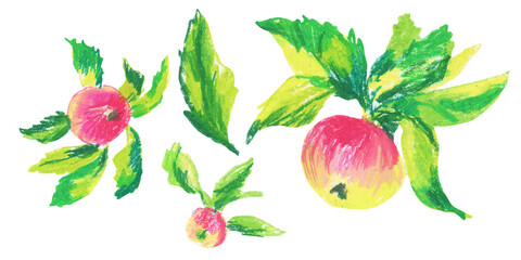 Clip art Pink apples drawn with wax crayons on white isolated background. Children's botanical collection of oil pastel illustrations. Designs for greeting cards, stickers, social media, posters.