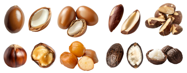 Collection of 4 nut seed fruit kernel, Argan, Brazil, Chestnut, shea, in whole stack and pile on transparent background cutout PNG. Mockup template for artwork design	
