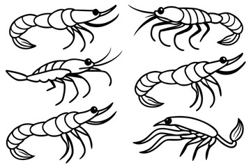 Shrimp Line Art Vector Bundle