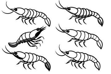 Shrimp Line Art Vector Bundle