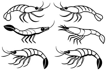 Shrimp Line Art Vector Bundle