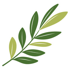 Fototapeta premium Green curve olive leaf illustration eco-friendly annonaceae vector