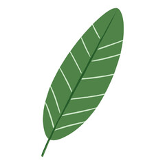 Obraz premium Spring leaves leaf illustration design vector