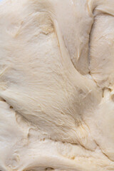 Sourdough dough close-up.