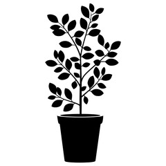 Obraz premium Potted plant with shrub silhouette potted potted plant vector