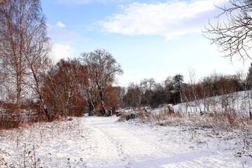 Winter rural landscape. Winter road and trees covered with snow. Beautiful view of a small village in western Ukraine.