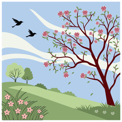 spring floral vector, blooming flowers, botanical illustration, flower design, floral pattern, spring blossom