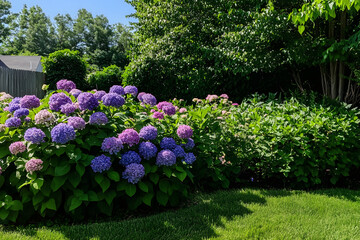 Obraz premium Beautiful summer garden with lush green grass, flowers, and plants in the sunlight