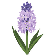 Fototapeta premium Lilac flower lilac illustration vector