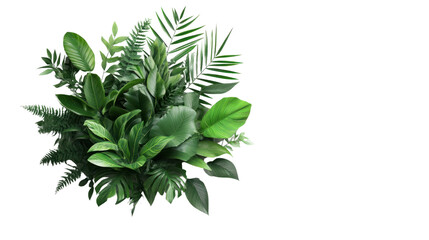 A vibrant arrangement of lush green tropical leaves isolated on a white background, perfect for natural decor or environmental themes.