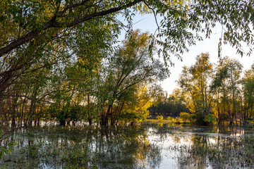 Landscape of the Marais Temps Clair wetland conservation area in Saint Charles County Missouri 