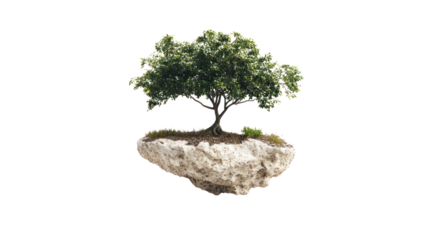 A vibrant green tree growing atop a rocky island, isolated on a white background, symbolizing nature and resilience.