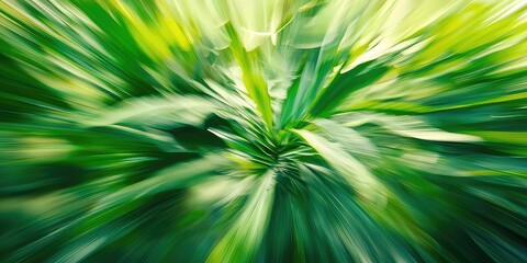 Obraz premium A blurred background of dense foliage, perfect for nature-themed designs or presentations.