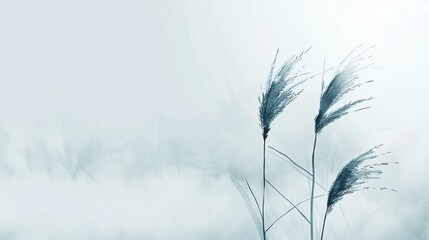 grass and sky