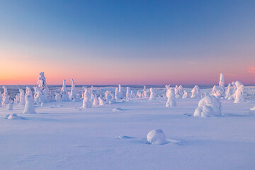 winter landscape snow