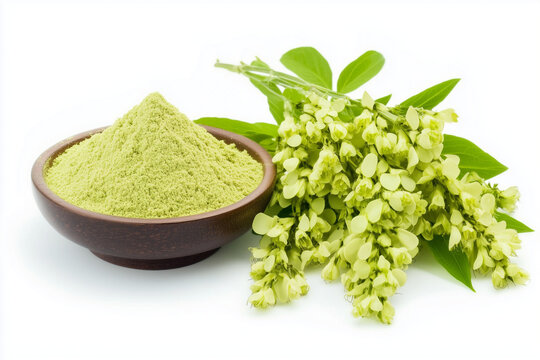Yallow crystalline Quercetin powder