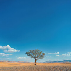 Obraz premium solitary tree stands in vast desert landscape under clear blue sky, evoking sense of tranquility and resilience