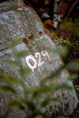 Autofriedhof Kyrk&ouml; Mosse