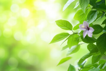 Obraz premium Lush Greenery Background Featuring Delicate Flower and Leaves, Perfect for Spa and Wellness Themes, Evoking Calmness and Natural Beauty