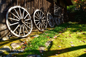 日本庭園と紅葉（新潟県）