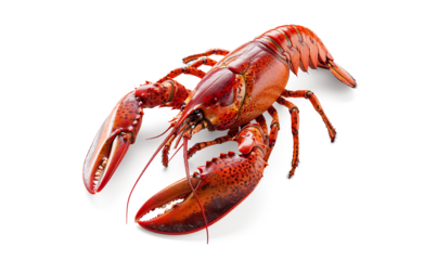 Fresh Boiled craw fish on a transparent background