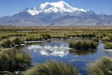 African landscape in moremi the Okavango delta in Botswana sub-Saharan Africa, top Safari destination. Beautiful simple AI generated image