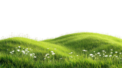 Vibrant green grass with gentle hills under a clear sky, showcasing nature's beauty and tranquility in a peaceful rural landscape.