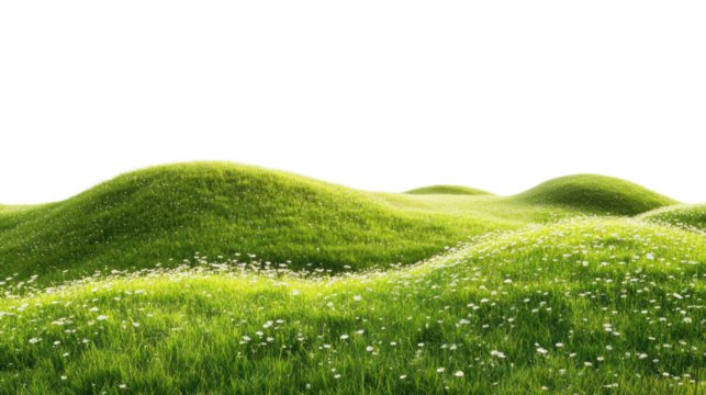 Lush green hills adorned with wildflowers under clear blue skies, creating a serene and tranquil natural environment.