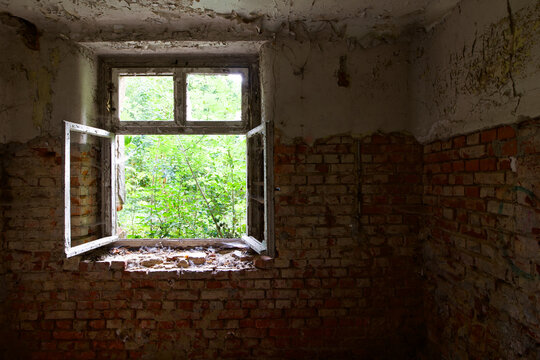 Fenster im feuchten zerfallenen Keller eines alten Krankenhaus mit Blick zum verwilderten Garten, kaputt, Deutschland Th&uuml;ringen Gera, niemand ohne Menschen
