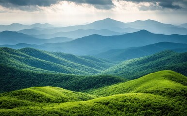 Fototapeta premium The mountains are covered in lush green trees