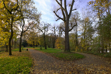 Rhein Landschaft  Park Anlage im bunten Herbst mit Bäumen Wasser Wellen Wind ruhige Szene in Deutschland nähe Köln ohne Menschen niemand 