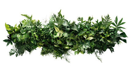 Fototapeta premium A lush arrangement of various green leaves, ideal for decoration or design projects, isolated against a white background.