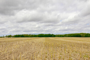 Feld Landschaft abgeerntet Stroh wolkiger  Himmel Sturm Wind  Acker Feld im Herbst kalte feucht, Wolken, Deutschland Th&uuml;ringen Gera, keine Menschen niemand