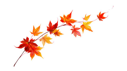Colorful autumn leaves on a branch, showcasing vibrant red, orange, and yellow hues against a white isolated background.