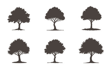deciduous tree icons with natural and rustic aesthetics