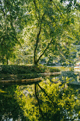 Porto ville magique entre terre et mer 