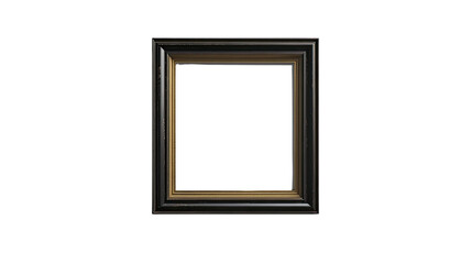 Black and Gold Picture Frame: A classic black picture frame with a subtle gold inner border, offering a timeless and elegant design for showcasing cherished memories and artistic masterpieces.