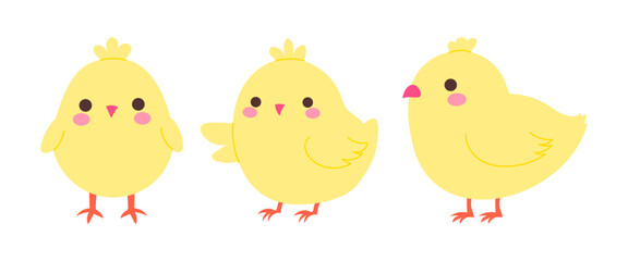 Three cute yellow chicks standing next to each other