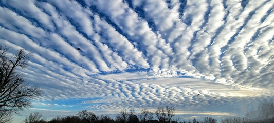 stunning Altostratus clouds