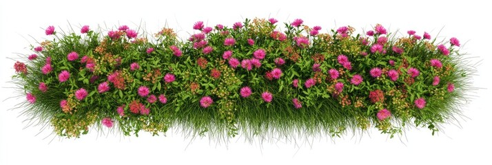 Fototapeta premium Lush Flower Bed with Grasses – Overhead View on White Background