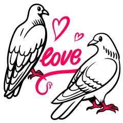 Fototapeta premium vector illustration of a dove