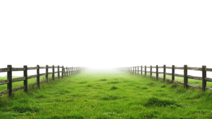 Serene foggy meadow with wooden fences on both sides, showcasing lush green grass and a tranquil atmosphere.