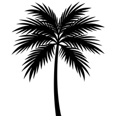 Obraz premium palm-frond-silhouette-vector-illustration