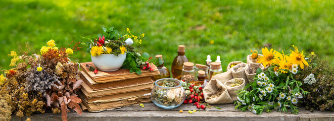 Medicinal herbs alternative medicine in nature. Selective focus.