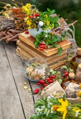 Medicinal herbs alternative medicine in nature. Selective focus.